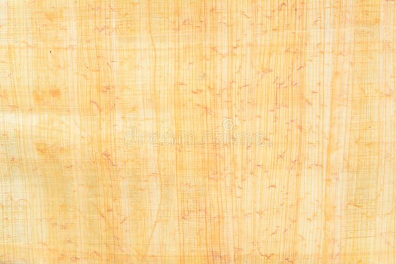 Real Egypt Papyrus achtergrond en textuur nummer 15 macro sluiten stock afbeelding Real Egypt Papyrus achtergrond en textuur nummer 15 macro sluiten stock afbeelding