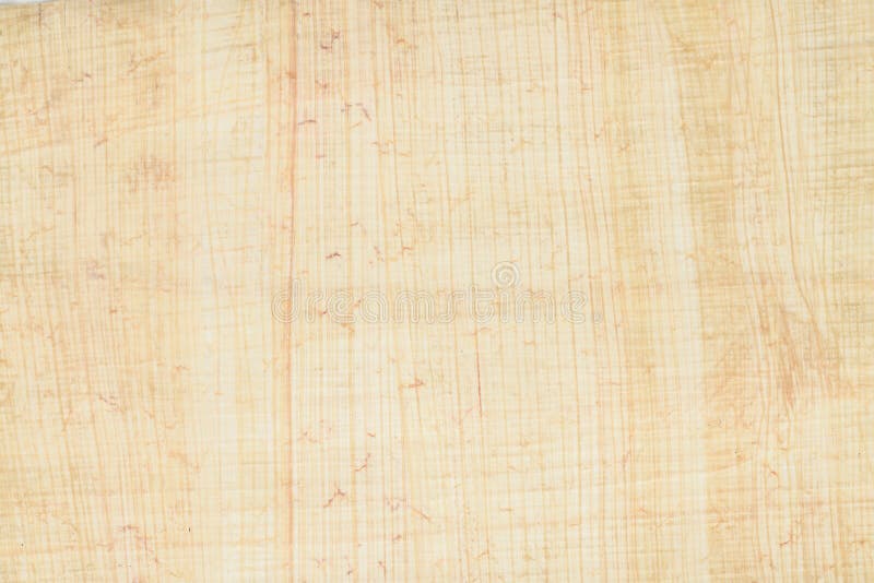 11 136 Papyrus Background Photos Free Royalty Free Stock Photos From Dreamstime