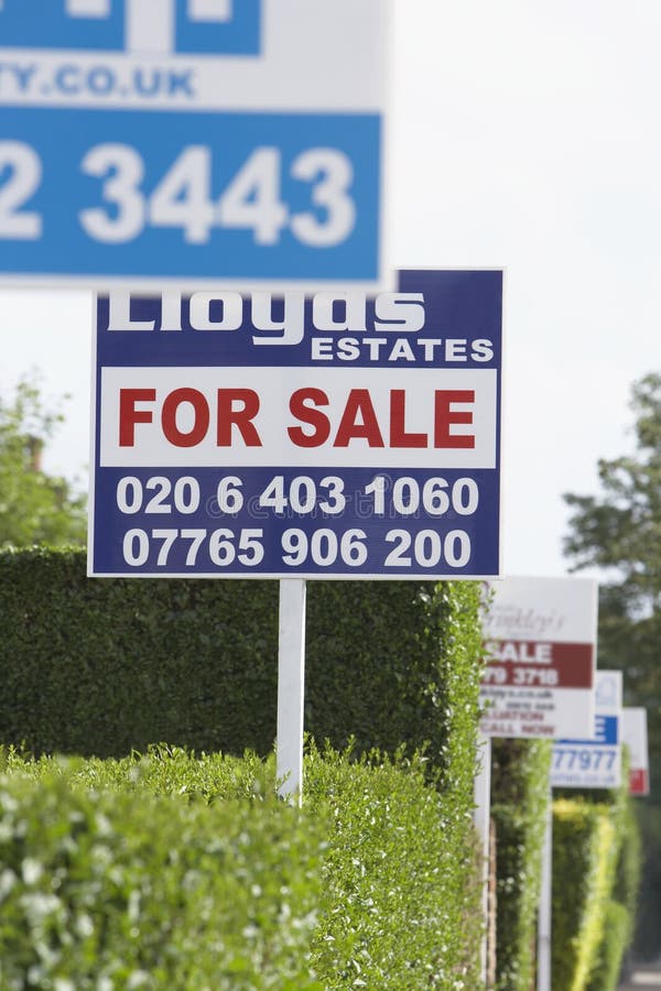 Real Estate for Sale Signs in a Row by Hedges Editorial Stock Photo