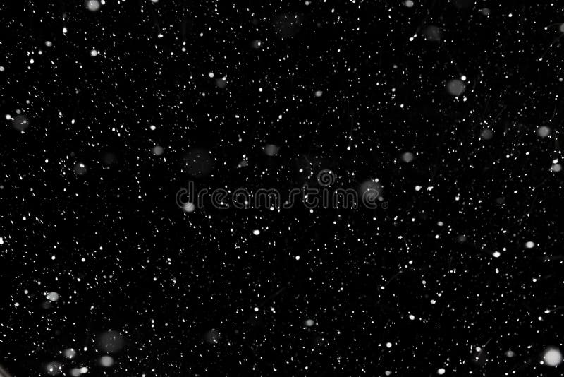 Real falling snow on a black background for use as a texture layer in a photo design. Real falling snow on a black background for use as a texture layer in a royalty free stock photo Real falling snow on a black background for use as a texture layer in a photo design. Real falling snow on a black background for use as a texture layer in a royalty free stock photo