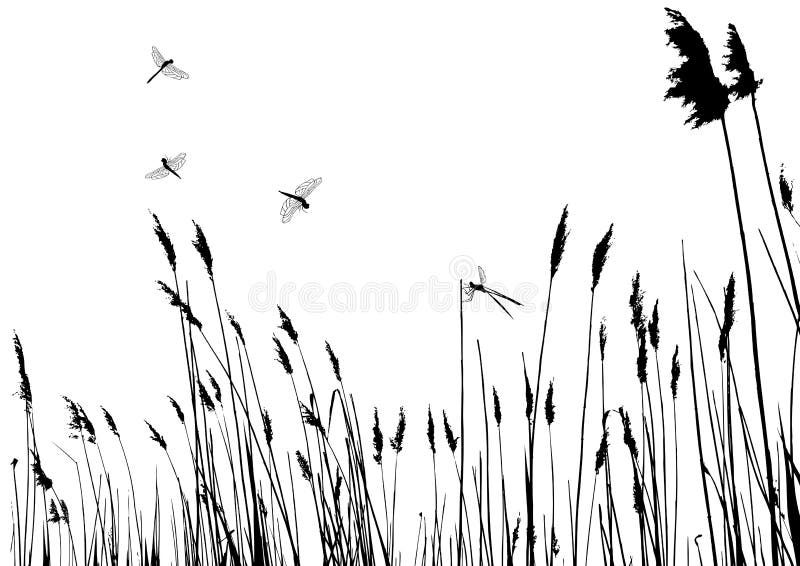 Real grass silhouette - vector