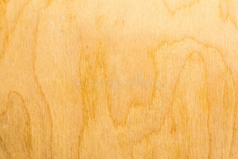 Real Natural Birch Plywood High Detailed Wood Texture Stock Photo