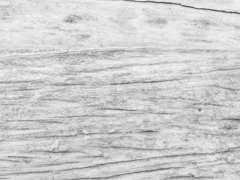 Real Natural Wood Texture background texture.architecture backdrop board color light vintage wall white wooden floor paint grunge royalty free stock image Real Natural Wood Texture background texture.architecture backdrop board color light vintage wall white wooden floor paint grunge royalty free stock image