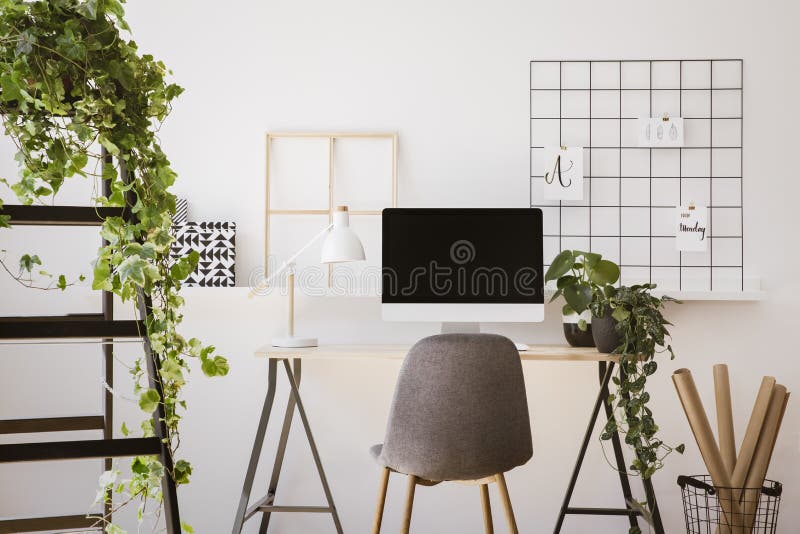 Real photo of white apartment interior with fresh plants, paper rolls in basket, organizer on wall and wooden desk with empty scre
