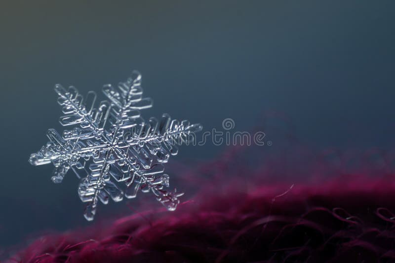 7,270 Real Snowflake Stock Photos - Free & Royalty-Free Stock Photos from Dreamstime 7,270 Real Snowflake Stock Photos - Free & Royalty-Free Stock Photos from Dreamstime