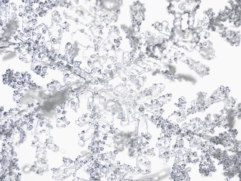 7,270 Real Snowflake Stock Photos - Free & Royalty-Free Stock Photos from Dreamstime 7,270 Real Snowflake Stock Photos - Free & Royalty-Free Stock Photos from Dreamstime