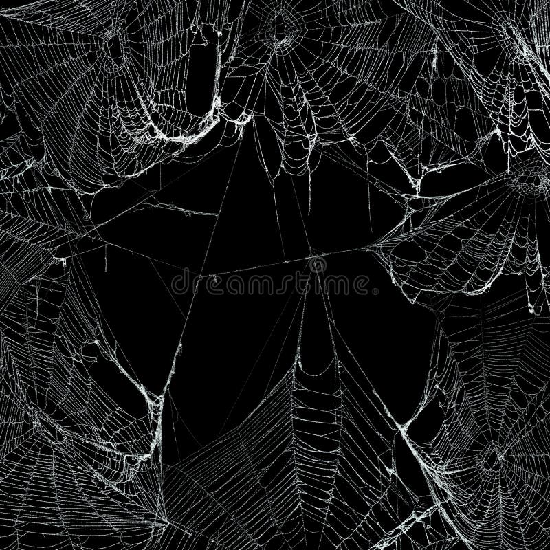 Real spider webs hanging together to make a frame. Halloween background