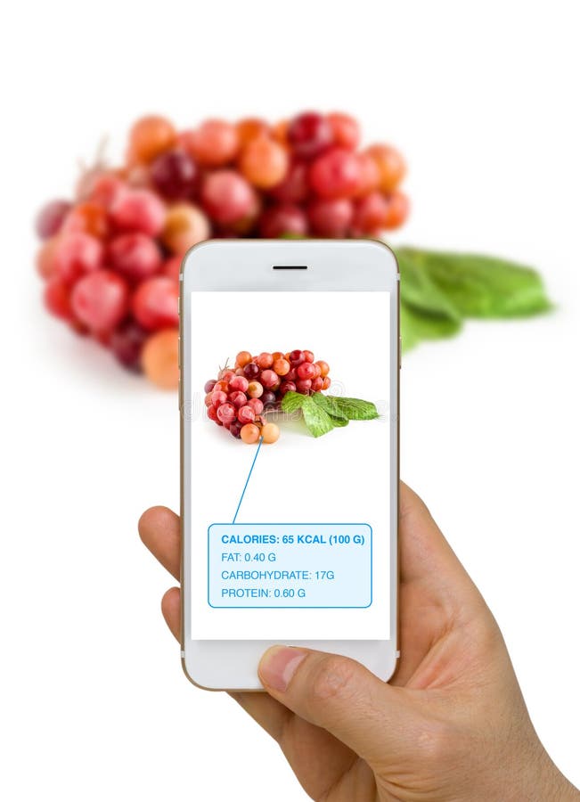 Realidad aumentada o AR App que muestra la información de la nutrición de Foo imágenes de archivo libres de regalías Realidad aumentada o AR App que muestra la información de la nutrición de Foo imágenes de archivo libres de regalías