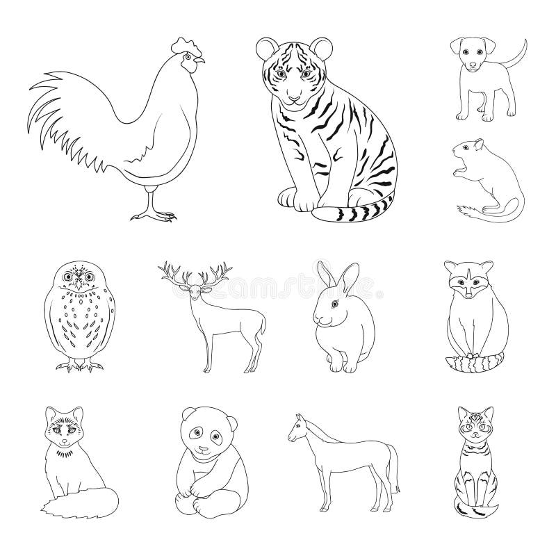 Realistic Animals Outline Icons in Set Collection for Design. Wild and Domestic  Animals Vector Symbol Stock Web Stock Vector - Illustration of animals,  rooster: 123797628