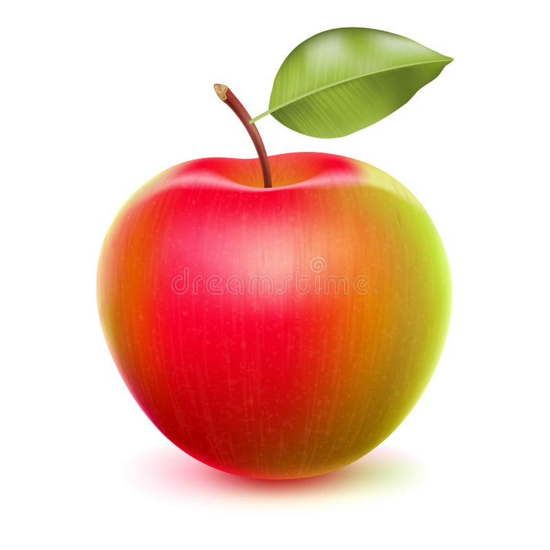 Realistic apple with green and red sides.