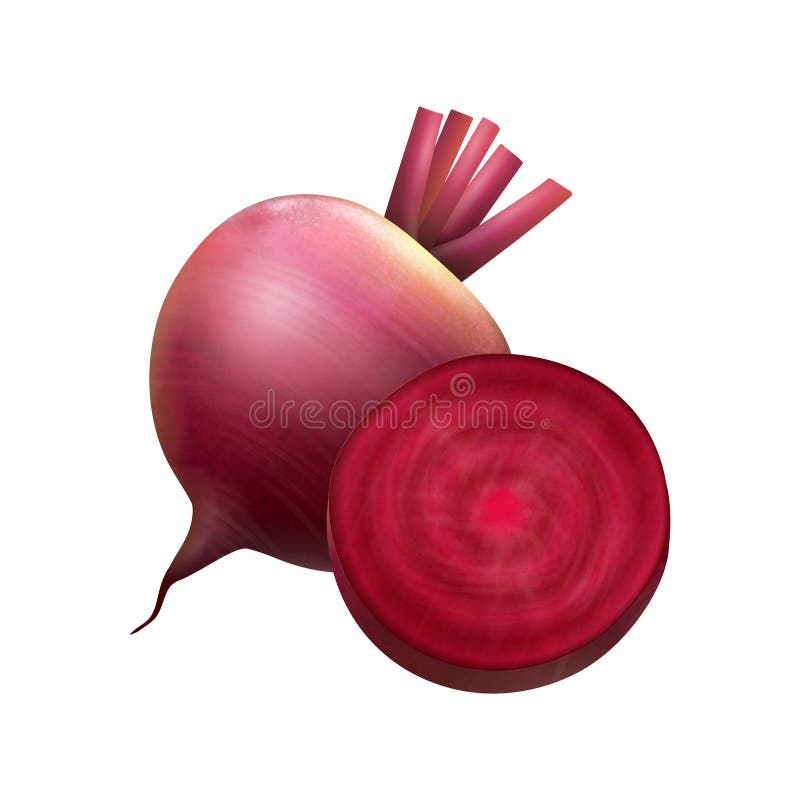 Realistic Beet Vegetable Composition Stock Vector Illustration of