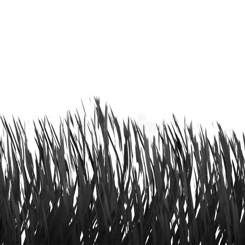 Realistic Black&White Grass vector illustration