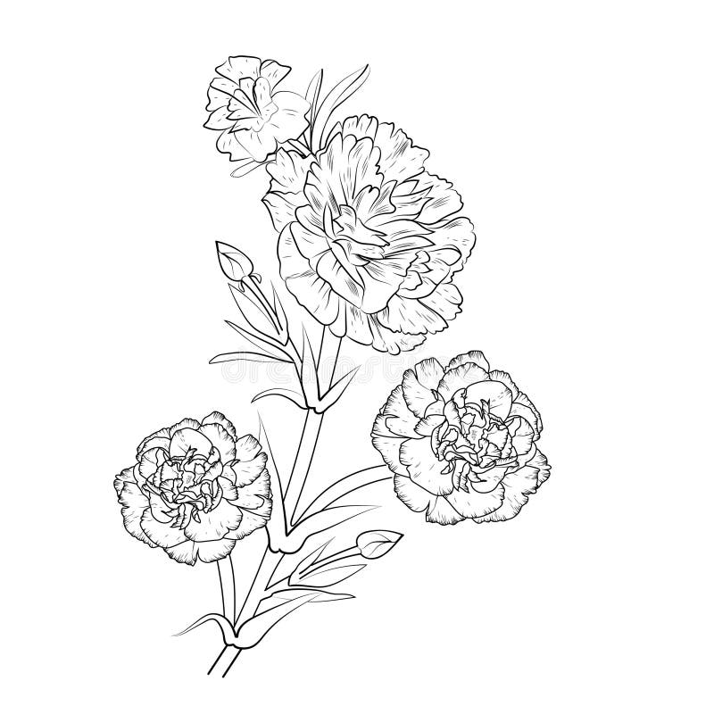 Coloring Pages Wildflowers Stock Illustrations – 90 Coloring Pages ...