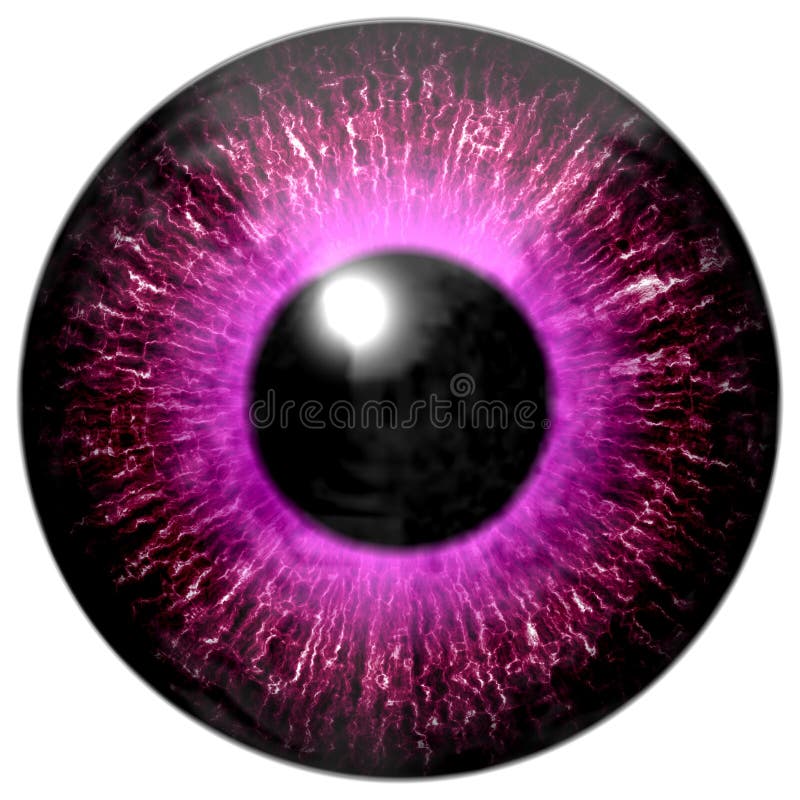 Realistic Colorful Eye Iris Texture Stock Illustration Illustration of iris, color 85537851
