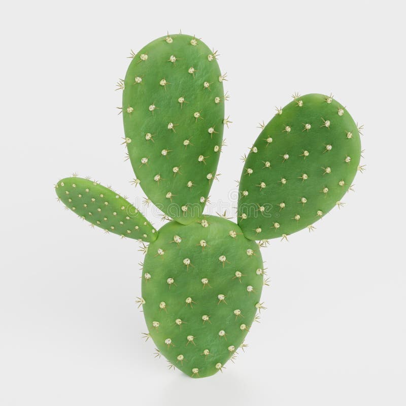 3D Render of Opuntia Cactus Stock Illustration Illustration of flower