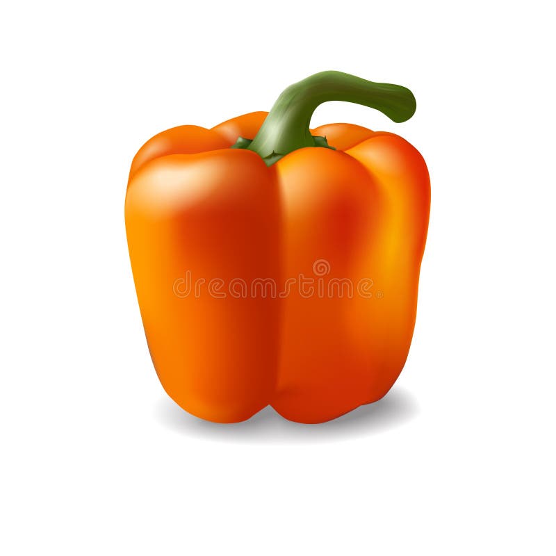 Orange Pepper Stock Illustrations 9,324 Orange Pepper Stock