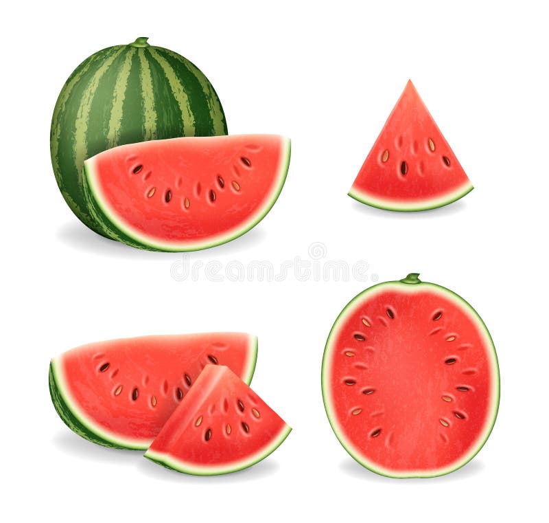 Realistic Detailed 3d Sliced Ripe Red Watermelon Set. Vector