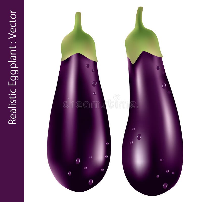 Realistic eggplant stock vector. Illustration of table 15597935