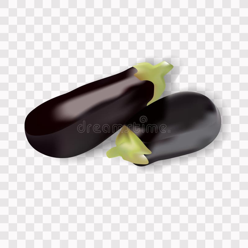 Realistic Eggplant with Shadow Vector Stock Vector Illustration of