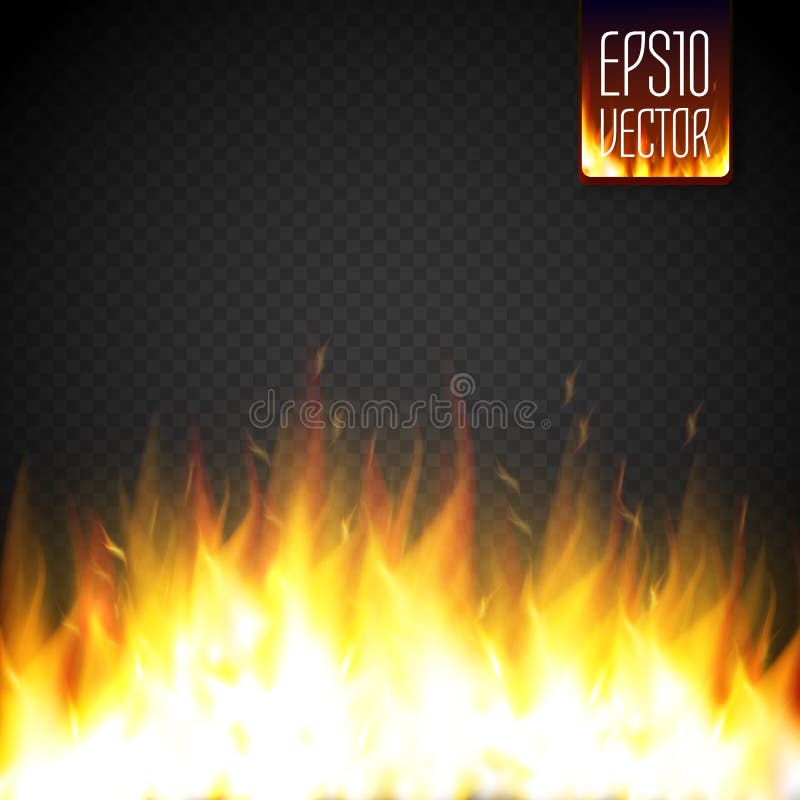 Realistic Fire Flame Vector Special Effect Isolated on Transparent