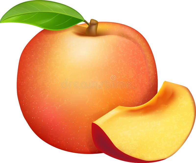 Realistic fresh sweet ripe peach, whole with leaf and slice isolated on white