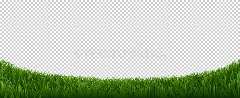 cartoon grass border