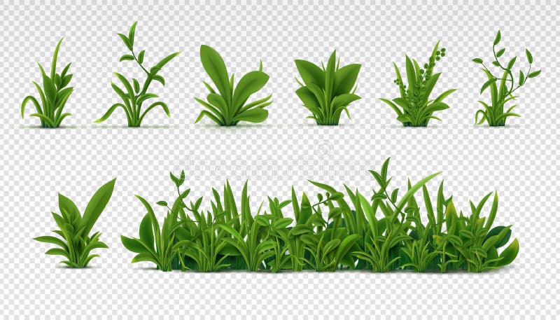 Realistic green grass. 3D fresh spring plants, different herbs and bushes for posters and advertisement. Vector set