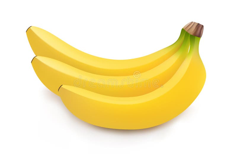 https://thumbs.dreamstime.com/b/realistic-illustration-bunch-bananas-isolated-white-background-banana-icon-banana-image-vector-94314392.jpg