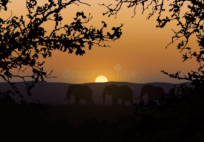 Realistic illustration of silhouettes of three elephants. They go in savanna with saffron grass in africa. Branches of trees with royalty free illustration Realistic illustration of silhouettes of three elephants. They go in savanna with saffron grass in africa. Branches of trees with royalty free illustration