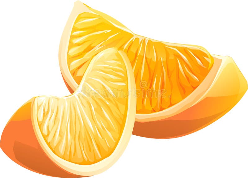 Realistic Illustration Slice of Orange Fruit. Stock Illustration