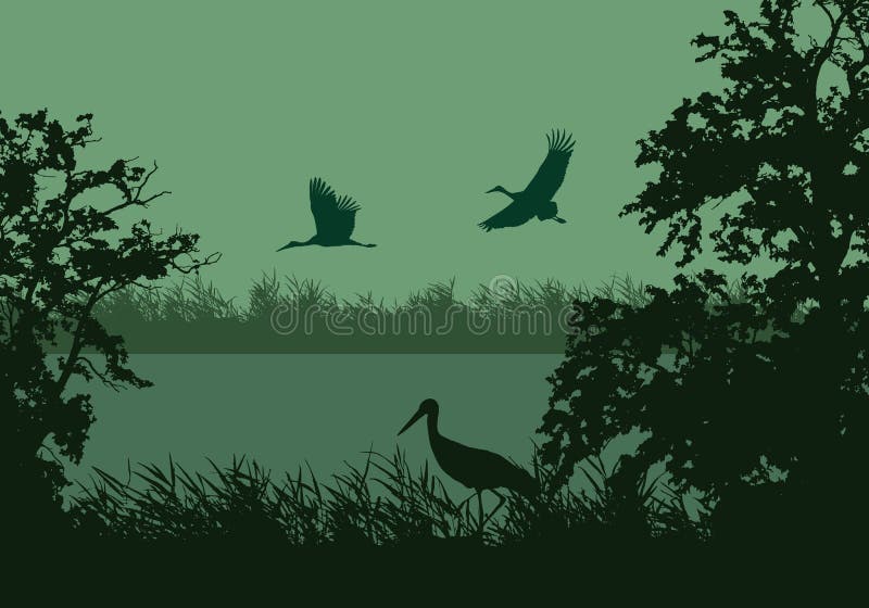 Realistic illustration of wetland landscape with river or lake, water surface and birds. Stork flying under green morning sky