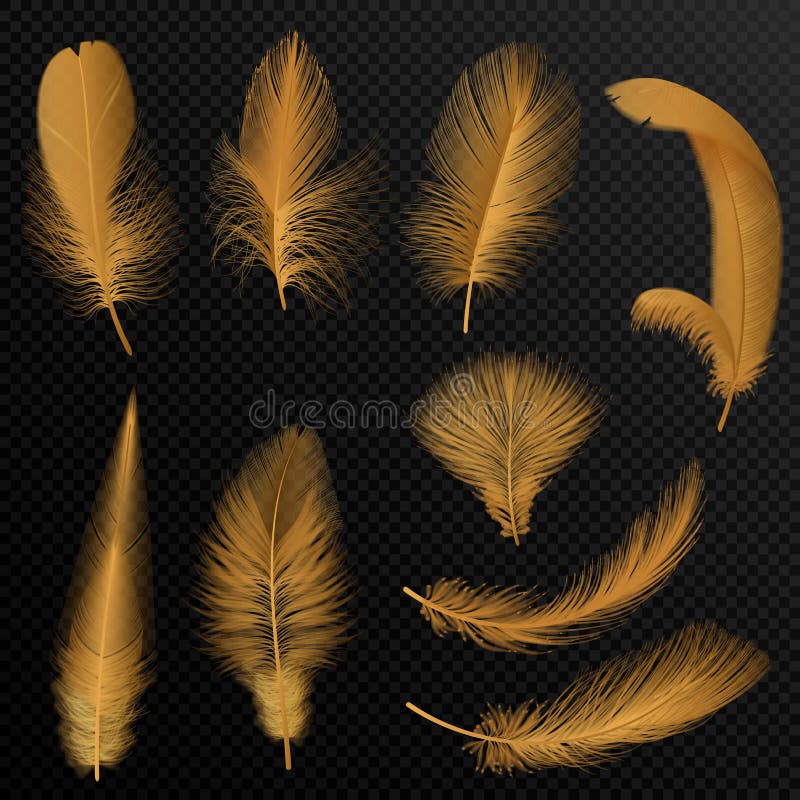 Realistic 3d Fantasy Bird Fluffy Golden Feathers Decorative Gold Glamour  Chic Plume Flying Falling And Twirling Soft Feather Vector Set Stock  Illustration - Download Image Now - iStock