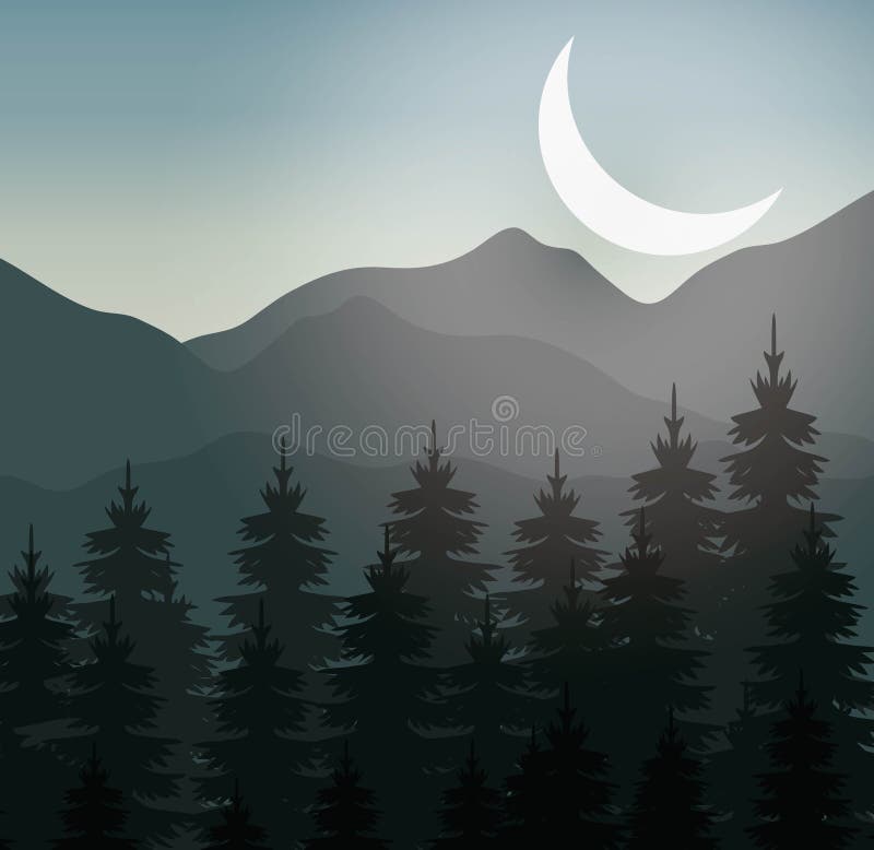 Realistic mountain landscape with a forest under the sky vector illustration graphic design. Grass night sky background vectors