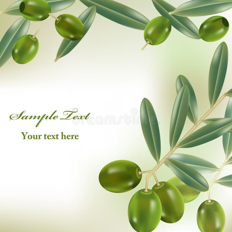Realistic olives background vector illustration
