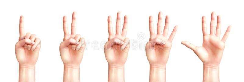 Realistic Hands Counting From One To Five vector illustration