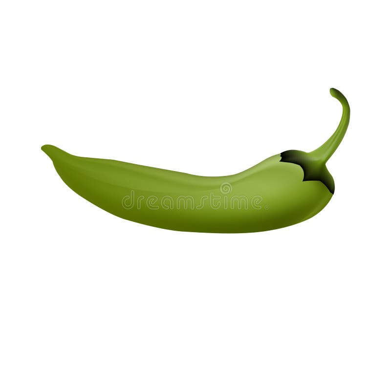 Green Cayenne Peppers. Handdrawn Fresh Vegetables. Real Watercolor