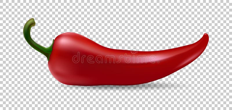 Realistic Red Chilli Pepper Icon Isolated on Transparent Background. Design  Template of Food Closeup in Vector. Stock Vector - Illustration of cook,  realistic: 93772431