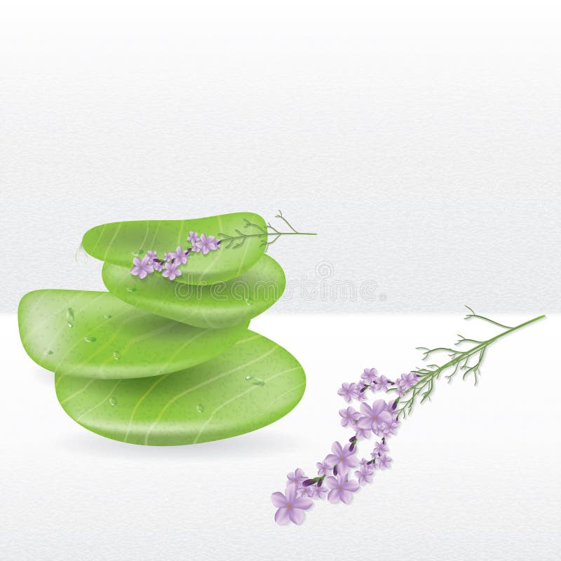 Realistic spa jadestenen stock illustratie Realistic spa jadestenen stock illustratie