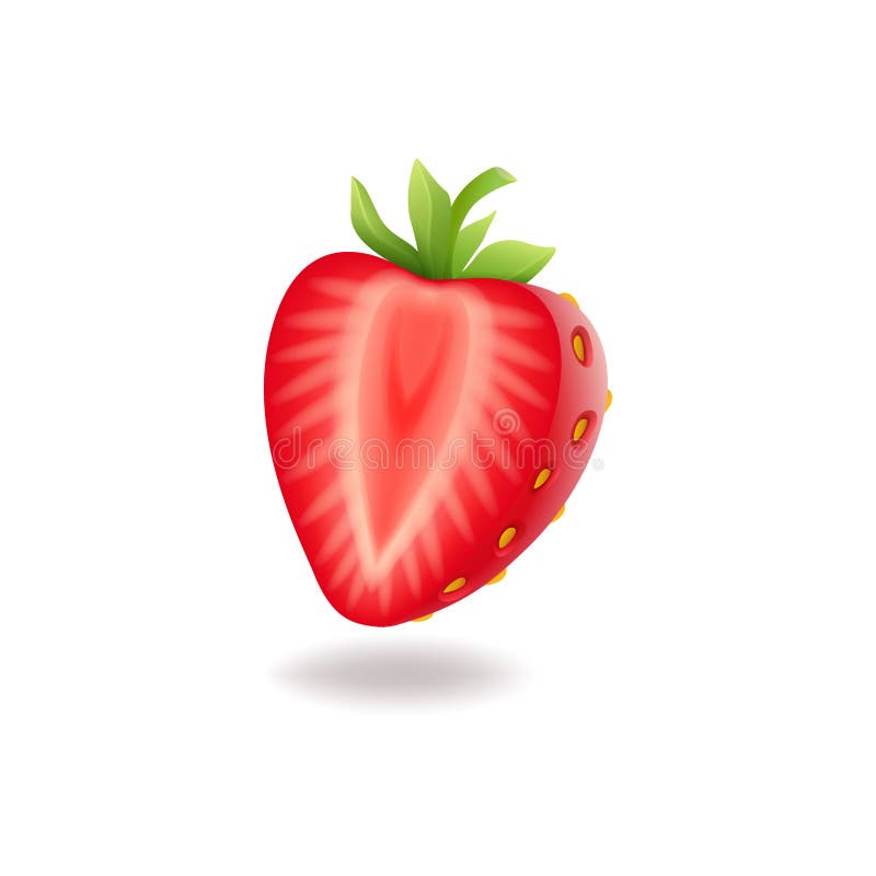 Realistic Sweet Half Cut Strawberry With Green Leaves Fresh Red Berrie Isolated On White Background Vector Stock Vector Illustration Of Flower Isolated Realistic Sweet Half Cut Strawberry With Green Leaves Fresh Red Berrie Isolated On White Background Vector Stock Vector Illustration Of Flower Isolated