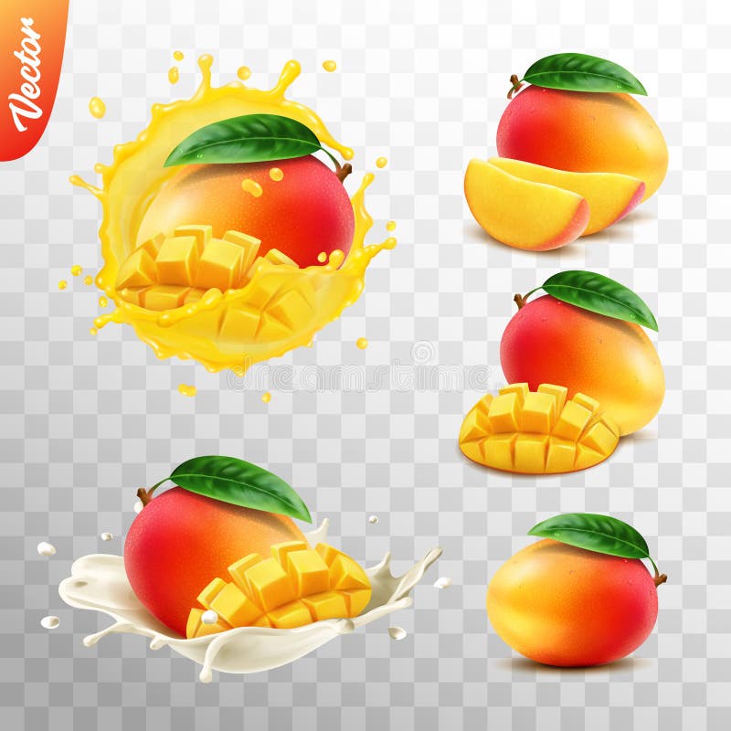 Realistic transparent isolated vector set, whole and slice of mango fruit, mango in a splash of juice with drops, mango in a splash of milk or yogurt. Juice splash logo illustrations