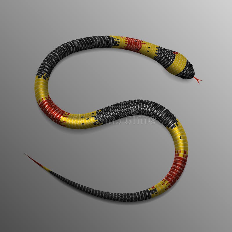 Realistic Tropical Snake in S or 5 Position Stock Illustration