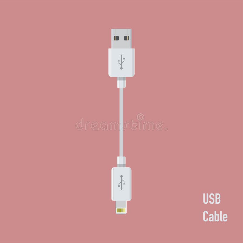 Realistic Usb Cable for Device Connection Vector Stock Vector Illustration of icon, digital