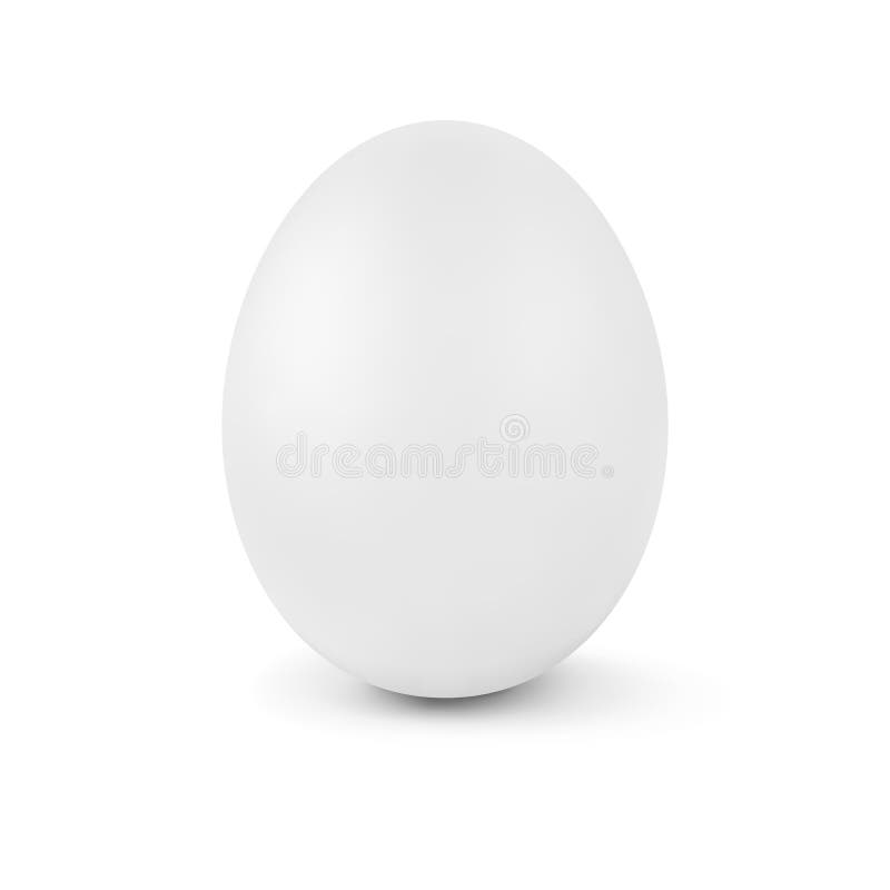 Realistic vector white egg