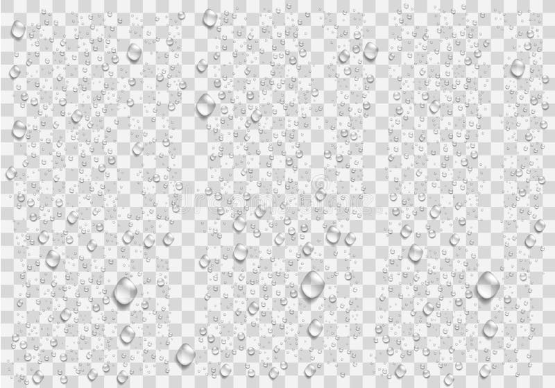 Realistic water droplets on the transparent background.