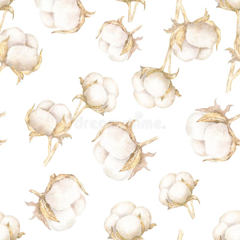Realistic watercolor illustration of cotton isolated on white background. Pattern for textile, fabric clothing stock illustration Realistic watercolor illustration of cotton isolated on white background. Pattern for textile, fabric clothing stock illustration