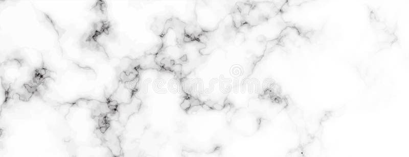 Realistic White Marble Texture Banner with Black Spots Stock Vector