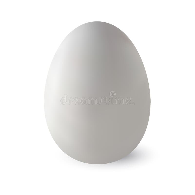 https://thumbs.dreamstime.com/b/realistic-white-ostrich-egg-shadow-vector-illustration-background-made-gradient-mesh-textured-86500449.jpg