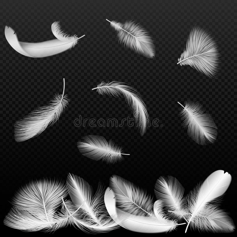 Realistic white vector bird twirled feathers falling on black transparent alpha background. vector illustration Realistic white vector bird twirled feathers falling on black transparent alpha background. vector illustration