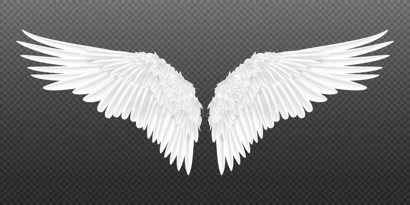 Realistic wings. Pair of white isolated angel wings with 3D feathers on transparent background. Vector bird wings design