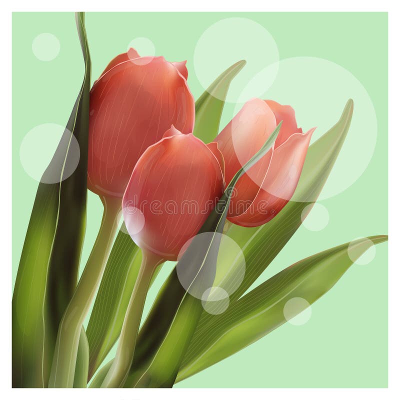 Realistische Bloemtulp Tulp in Vectoreps 10 royalty-vrije illustratie Realistische Bloemtulp Tulp in Vectoreps 10 royalty-vrije illustratie